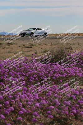 media/Jan-08-2023-SCCA SD (Sun) [[8f6a5b9391]]/Advanced Group/Session 2 (Short Straight)/